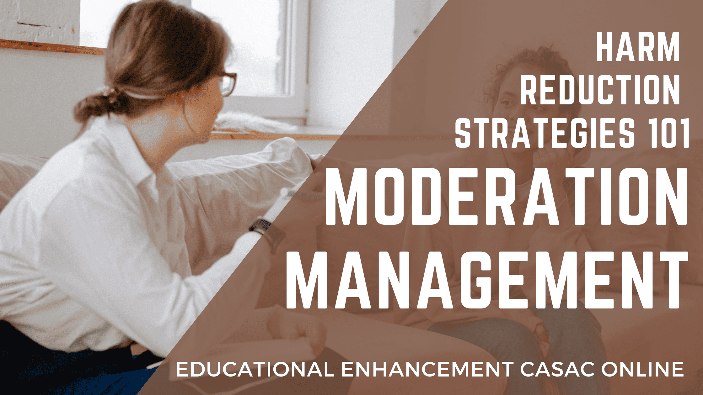 Image of a drug counselor working with a client using harm reduction strategy moderation management