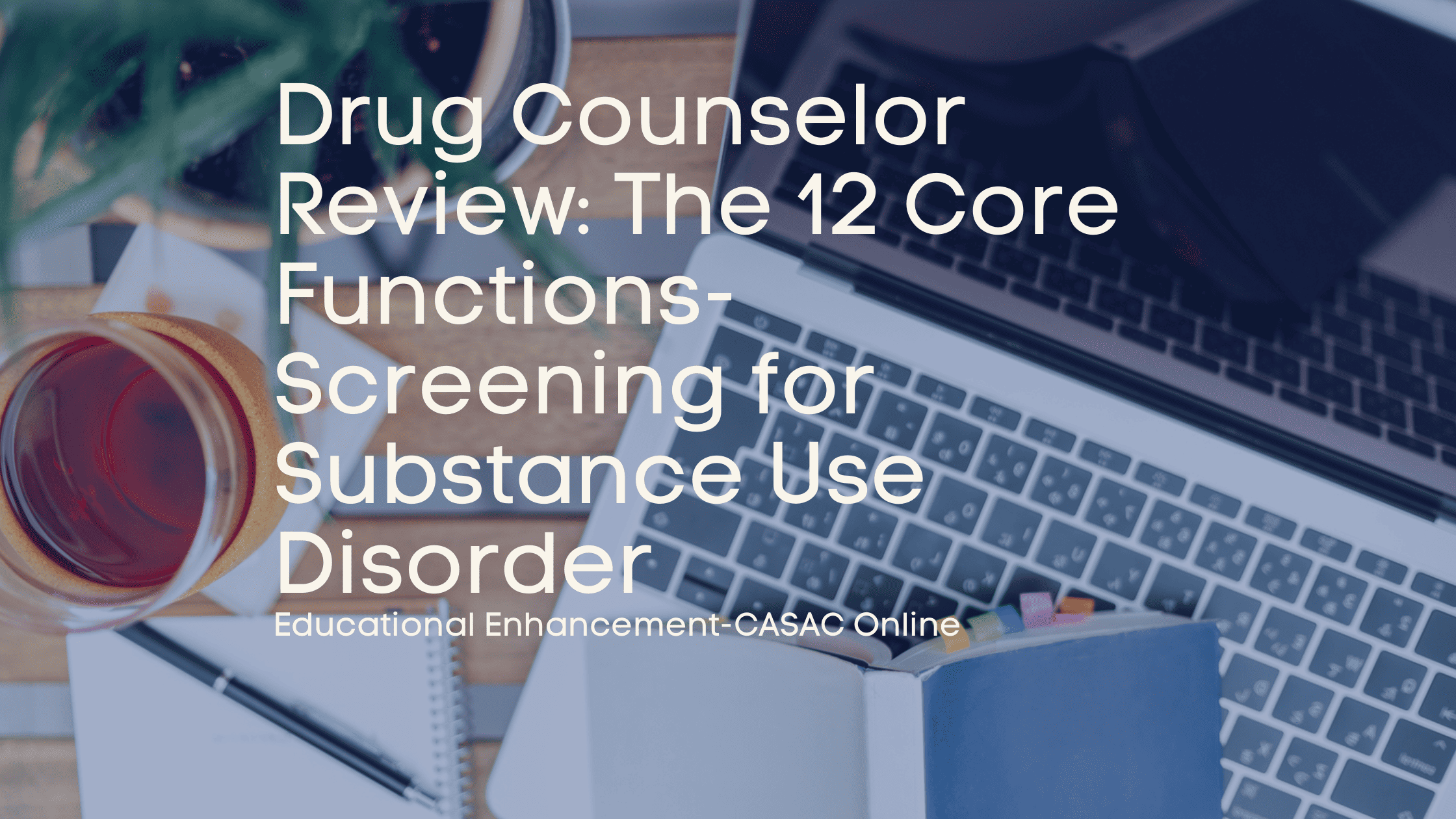 Blog post banner for the post: Drug Counselor Review: The 12 Core Functions- Screening for Substance Use Disorder