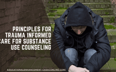 Principles for Trauma Informed Care for Substance Use Counseling