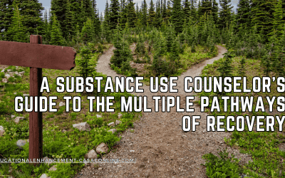 A Substance Use Counselor’s Guide to the Multiple Pathways of Recovery