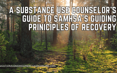 A Substance Use Counselor’s Guide to SAMHSA’s Guiding Priniciples of Recovery
