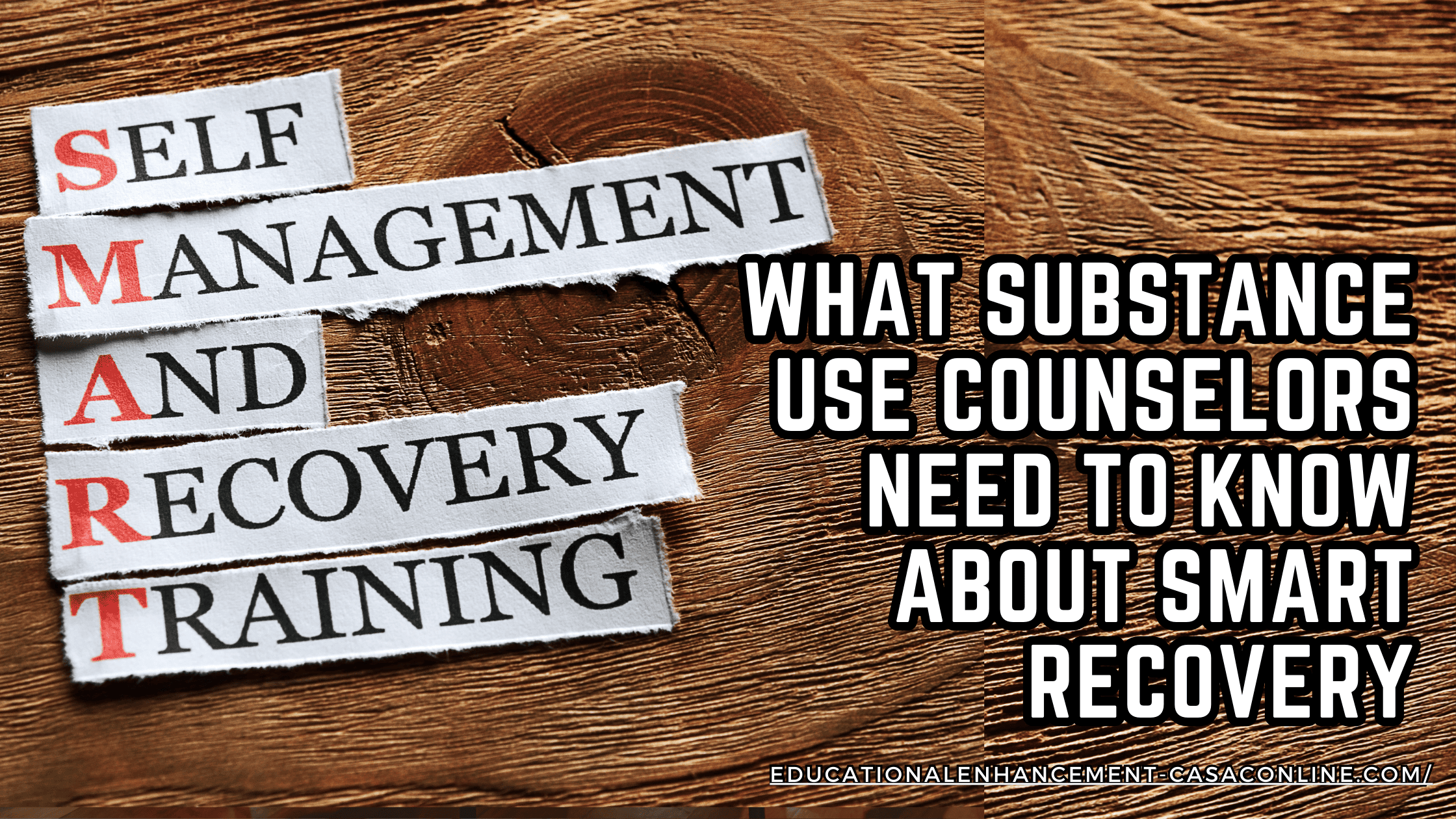 Addiction Counseling: SMART Recovery Training and Support