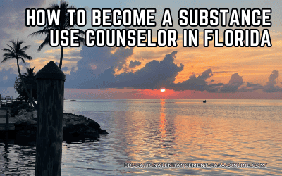 Becoming a Substance Use Counselor in Florida Today with EECO