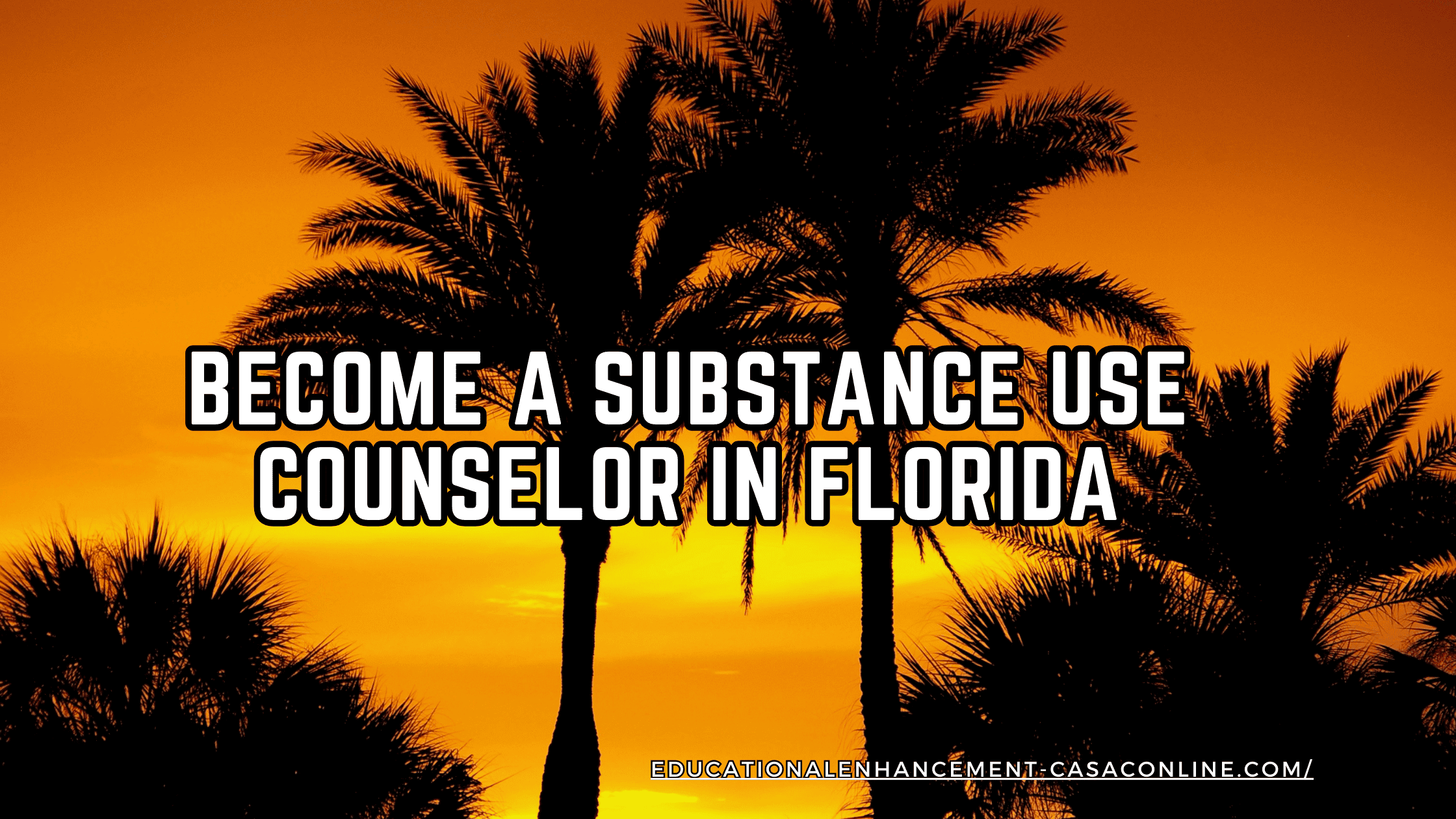 Become a Substance Use Counselor in Florida_1 Image of Florida sunset with palm tress and the words become a substance use counselor in Florida overlayed on the image.