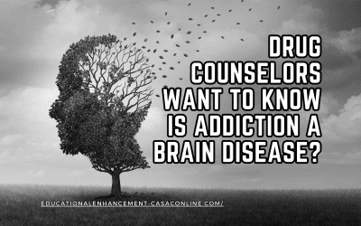 Drug Counselors: The Truth about Addiction A Brain Disease?