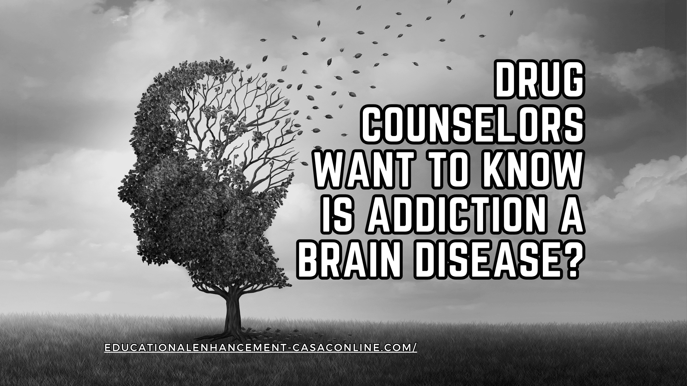 asks, “Drug Counselors Want to Know: Is Addiction a Brain Disease?” referencing the ongoing debate in addiction science.