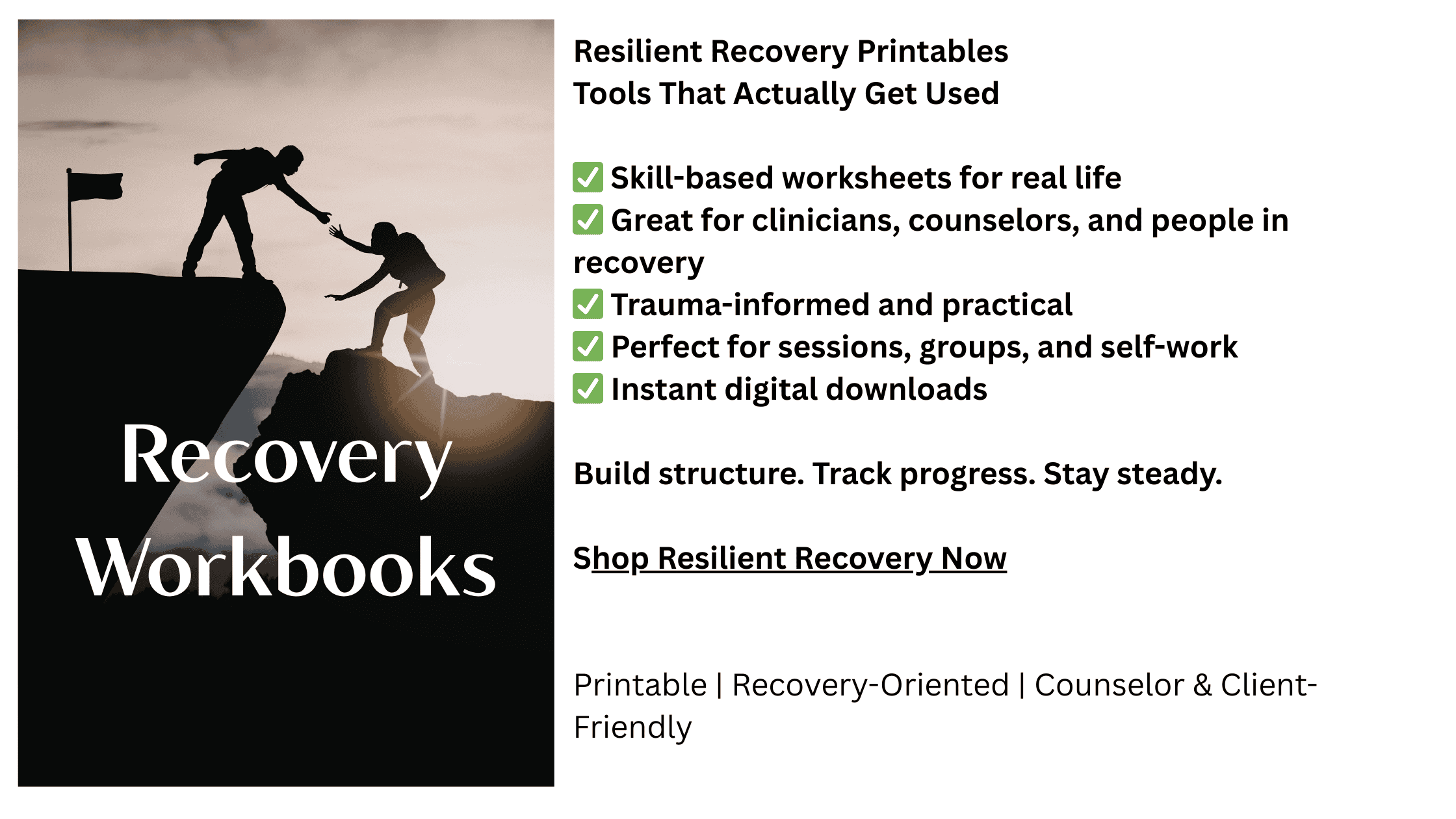 recovery workbooks for substance use counselors, casac, cadc, or cac