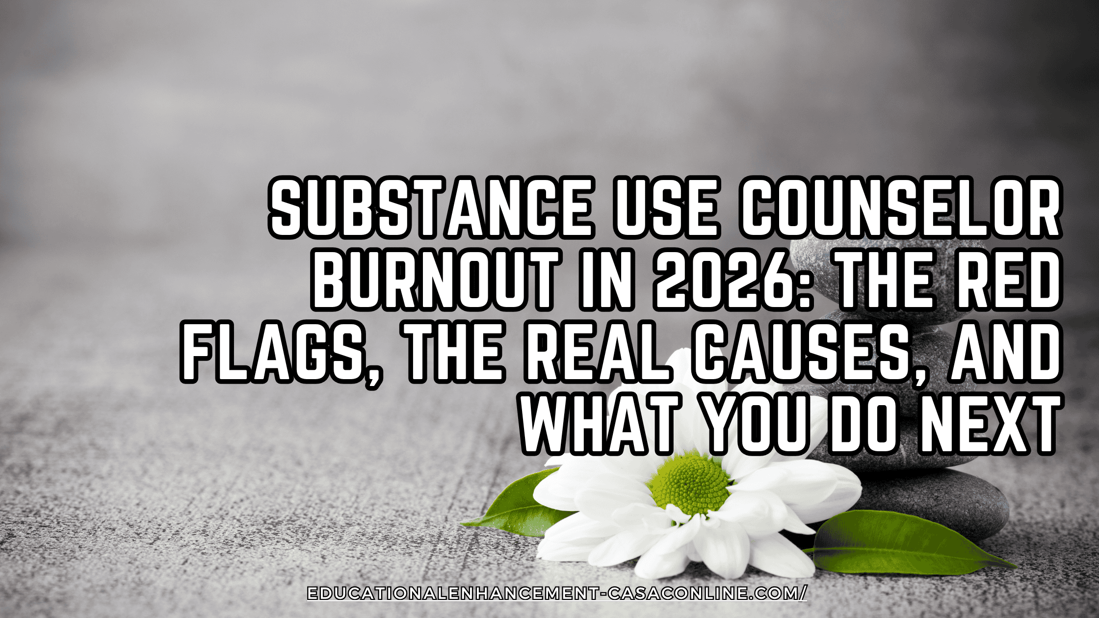 blog post header for the post, "Substance Use Counselor Burnout in 2026: The Red Flags, the Real Causes, and What You Do Next," shows a picture of a rock sculpture and daisy signifying mindfulness and wellness. 