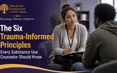 The Six Trauma-Informed Principles Every Substance Use Counselor Should Know